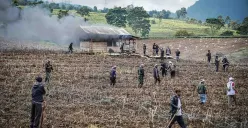 Petani Teh Bakar Gubug dan Rusak Lahan Pertanian Ilegal di Kertamanah Kabupaten Bandung. (Sumber: ayobandung.id | Foto: Kavin Faza)