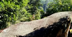 Situs Batu Kuda, saksi sunyi di hutan pinus Manglayang. (Foto: Dokumentasi Pribadi)