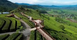 Wayang Windu Panenjoan. (Sumber: Tiktok @wayangwindupanenjoan)