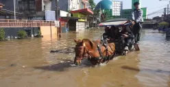 Warga memanfaatkan delman untuk melintasi jalan permukiman yang terendam banjir, saat akses kendaraan bermotor terganggu akibat genangan air. (Sumber: Dokumentasi Warga | Foto: Dokumentasi Warga)