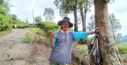 Mang Yaya, petani kopi tangguh dari Desa Lebak Muncang, Ciwidey—penjaga kualitas dan tradisi kopi terbaik yang menembus hingga mancanegara. (Sumber: Cantika Putri S.)