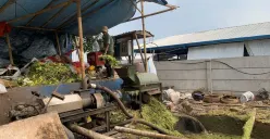 TPS Gedebage Olah Sampah Organik, 14 Ton per Hari Berubah Jadi Kompos