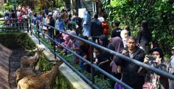 Bandung Merayakan, Warganya Bertahan