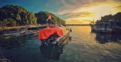 Apakah kemerdekaan hanya sebatas bebas dari kolonialisme fisik? (Sumber: Pexels/ahmad syahrir)
