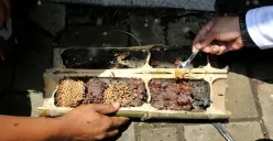 Madu dari budidaya Buruan Sae di Astanaanyar (Foto: Ist)
