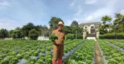 Gin Gin Ginanjar. Di bawah kepemimpinannya, program Buruan SAE meraih berbagai penghargaan nasional dan internasional. (Sumber: Humas DKPP Bandung | Foto: Humas DKPP Bandung)