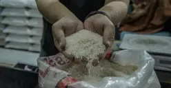 Sengketa pers antara Menteri Pertanian Amran Sulaiman dengan Tempo bermula dari aduan terhadap pemberitaan Tempo berjudul “Poles-Poles Beras Busuk” yang tayang di akun X dan Instagram Tempo. (Sumber: Ayobandung.id | Foto: Kavin Faza)