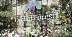 Contoh nyata praktik edutourism adalah Orchid Forest Cikole. Tidak hanya menawarkan keindahan lanskap, tetapi juga jadi ruang belajar tentang pentingnya pelestarian hutan dan tanaman anggrek. (Sumber: dok Orchid Forest Cikole)