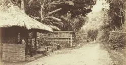 Jalan di antara Cisondari dan Kopo zaman baheula. (Sumber: KITLV)