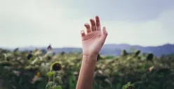 Tangan manusia. (Sumber: Pexels/Tan Danh)