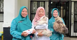 Gaya Hidup Cat Parents Bandung yang Memulai Perlindungan dari Rumah