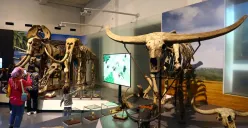 Gaya Art Deco pada Museum Geologi Bandung 