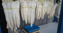 Sejak Kapan Peuyeum Jadi Ikon Kuliner Khas Bandung?