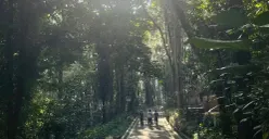 Bukan Lagi Kafe, tapi Hutan: Gen Z Bandung Temukan Ketenangan di Tahura Djuanda