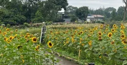 Destinasi Baru Bertema Rustic Modern di Tengah Sejuknya Bandung Barat