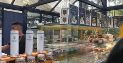 Golden Pine Cafe, Cantik di Tengah Hutan Pinus Lembang