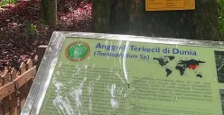 Anggrek terkecil di dubia jadi bintang baru kawasan konservasi (04/11/2025) (Sumber: Dok.pribadi | Foto: Nazwa Revanindya)