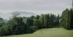 Destinasi Piknik Estetik di Bandung Utara