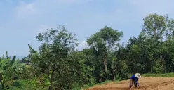 Petani di Kebun (Sumber: Dokumentasi Pribadi | Foto: Arfi Pandu Dinata)