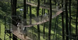 Ketika industri pariwisata bergerak cepat mengikuti selera pasar, bisnis wisata alam menghadapi tantangan tak kalah kompleks untuk tetap relevan tanpa kehilangan esensi. (Sumber: Ayobandung.id | Foto: Kavin Faza)