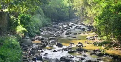 Sungai Cikapundung Kampung Cibarani Kota Bandung (Foto: Dokumen River Clean up)