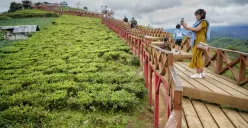 Pertumbuhan sektor pariwisata Jawa Barat tidak bisa dilepaskan dari kontribusi berbagai komponen industri, terutama perhotelan dan restoran. (Sumber: Ayobandung.id | Foto: Kavin Faza)