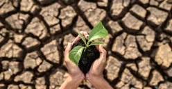Tugas kita hari ini adalah menanam benih peradaban bumi yang hijau. Sekecil apapun itu karena menjaga bumi adalah bagian dari ibadah seorang Hamba kepada Pencipta-Nya. (Sumber: Freepik)