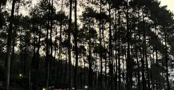 Suasana senja di kawasan Gunung Puntang, Bandung Selatan. (Sumber: Dokumentasi Penulis | Foto: Naila Salsa Bila)