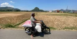 Ilustrasi kemarau di masa panen. (Sumber: Ayobandung.id | Foto: Restu Nugraha)