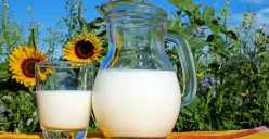 Ilustrasi Susu Murni (Foto: Pixabay)