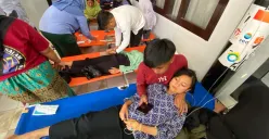 Potret sejumlah siswa yang terkapar lemasakibat keracunan massal MBG di Bandung Barat. (Sumber: Ayobandung | Foto: Restu Nugraha)