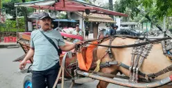 Ade, kusir delman di sekitar wilayah Gedung Sate. (Sumber: ayobandung.id | Foto: Nisrina Nuraini)