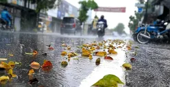 Bangkit di Kota Hujan: Dari PHK hingga Peluang Baru