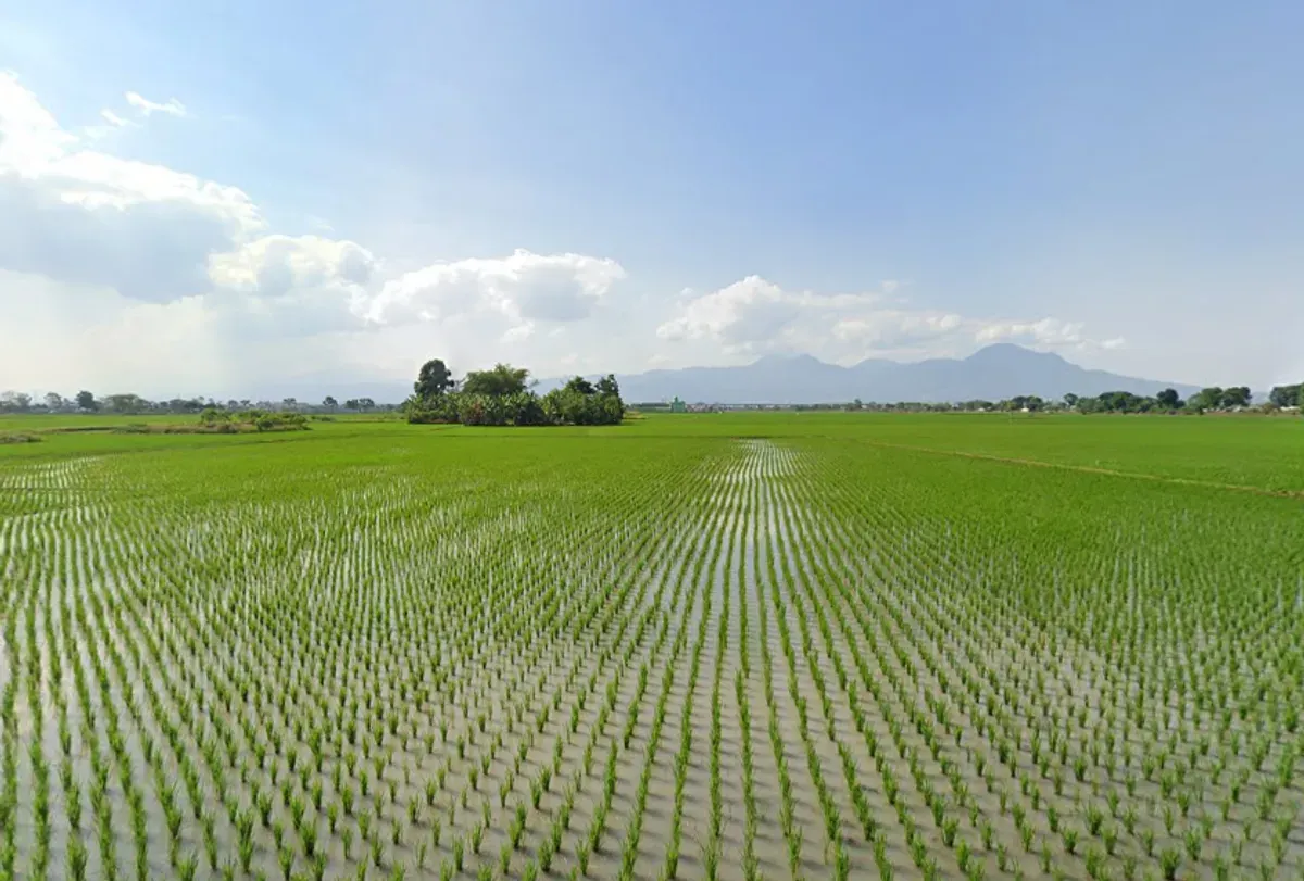Persawahan di Kecamatan Bojongsoang, Kabupaten Bandung. (Sumber: Google map)