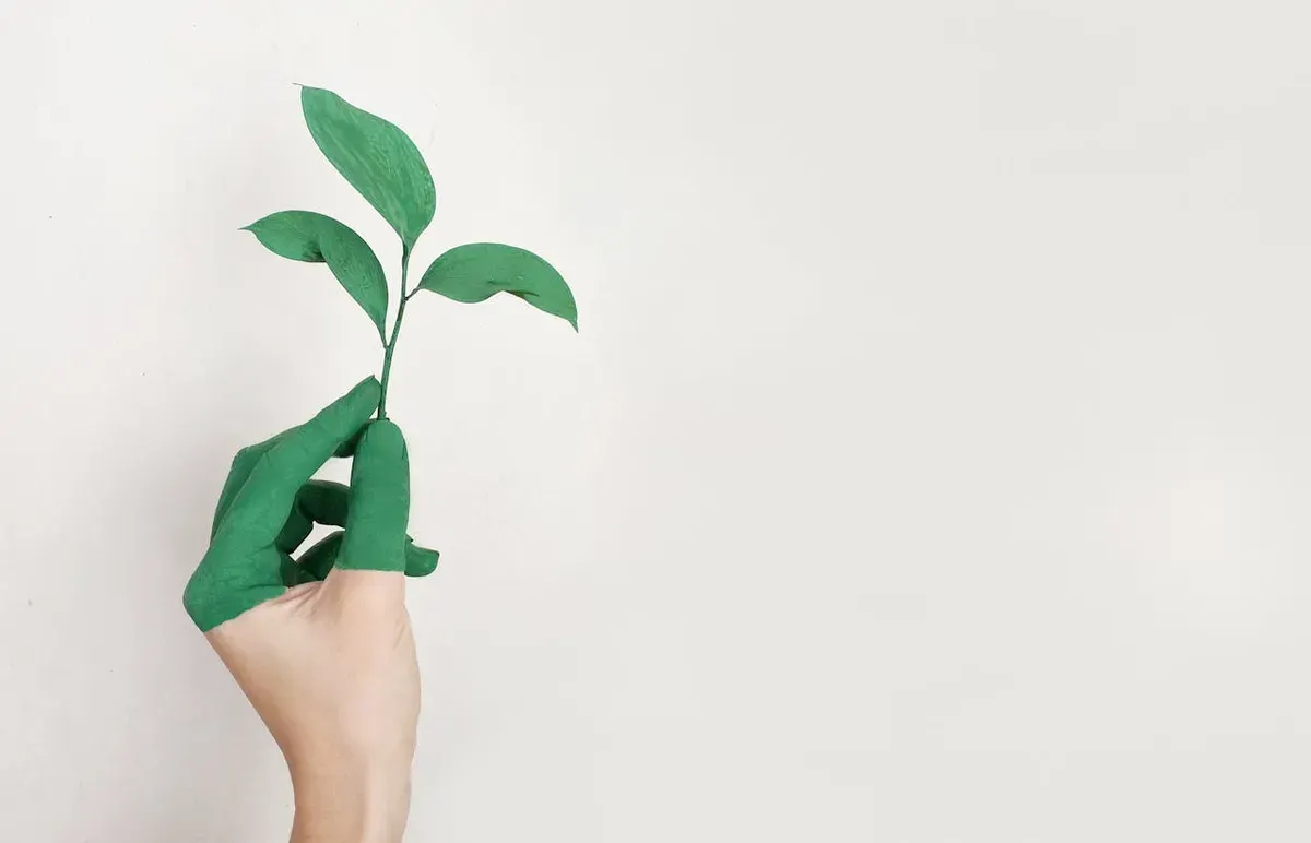 Greenwashing adalah praktik menyesatkan yang dilakukan oleh perusahaan atau organisasi untuk memberikan kesan bahwa produk, layanan, atau operasi mereka lebih ramah lingkungan. (Sumber: Pexels/Alena Koval)