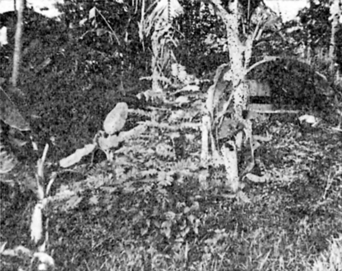 Pertempuran Perlintasan Ciater atau Tjiaterstelling berlangsung dari 5 - 7 Maret 1942 antara pasukan Sekutu terutama Belanda melawan tentara Jepang. (Sumber: Wikimedia)