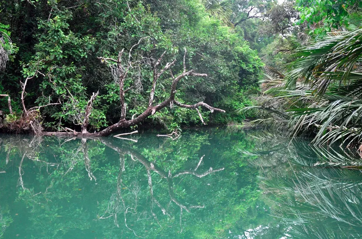 Ci Genter di dalam Taman Nasional Ujungkulon saat tenang. (Sumber: Dokumentasi Penulis | Foto: T Bachtiar)