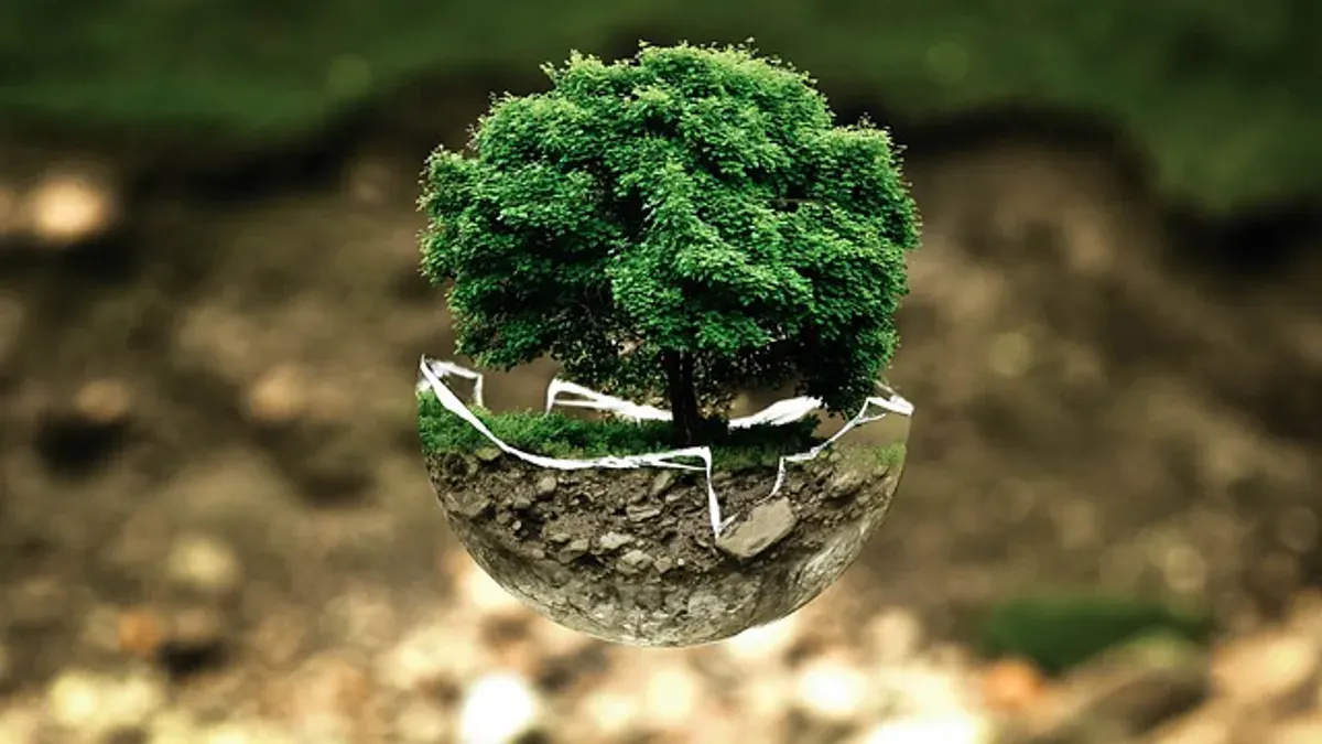 Ilustrasi Lingkungan (Sumber: Pixabay.com | Foto: Pixabay)