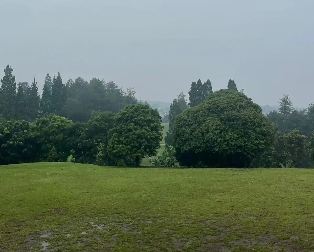 Nuansa damai dan asri di bawah langit pepohonan Uncle D Backyard. (Sumber: Dokumentasi Penulis | Foto: Carissa Syarafina)