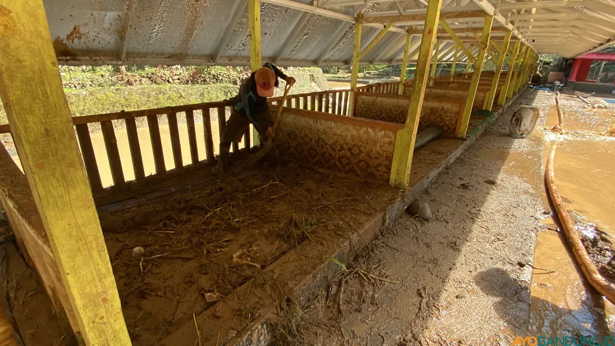 Seorang pekerja sedang membersihkan wisata kuliner Lembah Curugan Gunung Putri yang diterjang banjir bandang, pada Kamis 4 Desember 2025. (Sumber: ayobandung.id | Foto: Restu Nugraha Sauqi)