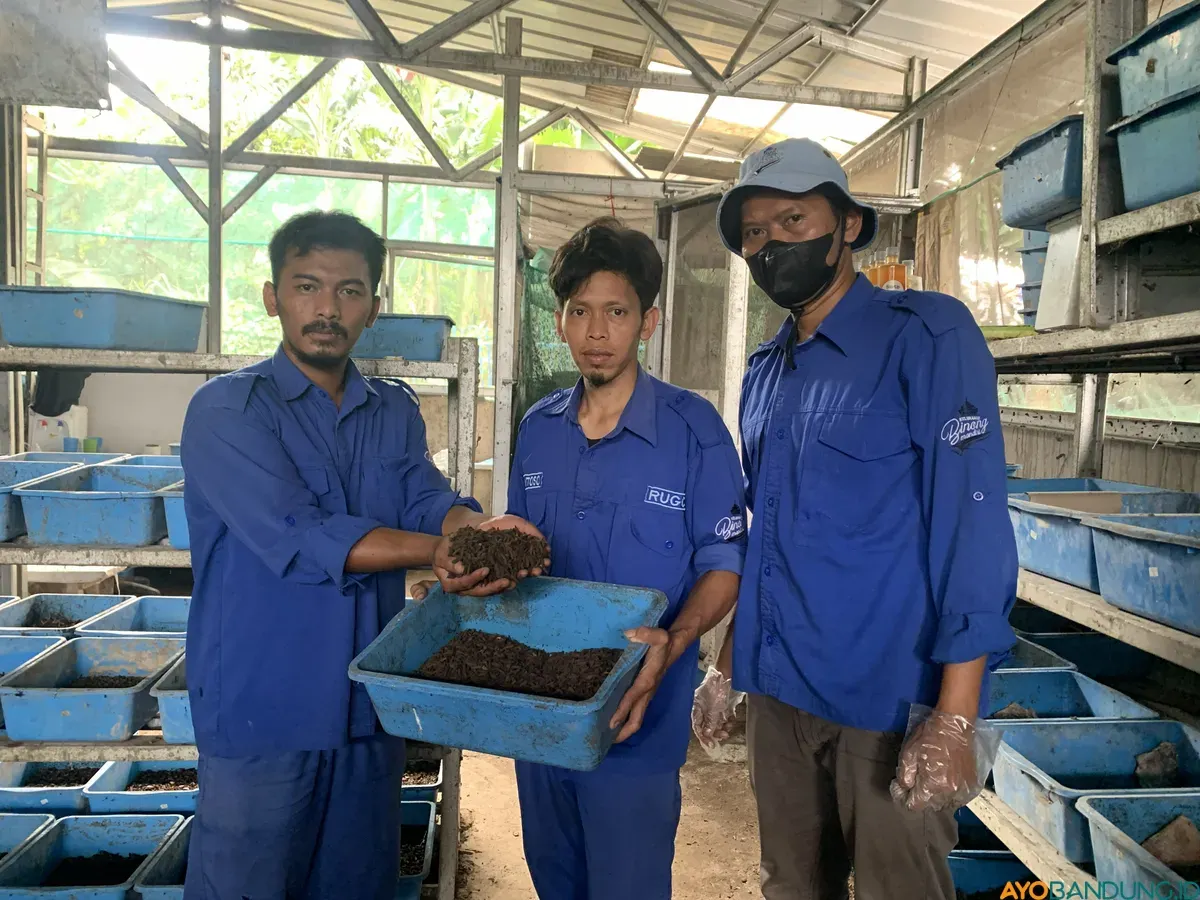 Pengelola Rumah Maggot di Jl. Babakan Jati RT 06 RW 08 Kelurahan Binong, Kecamatan Batununggal, Kota Bandung. Senin, 8 Desember, 2025. (Sumber: ayobandung.id | Foto: Toni Hermawan)
