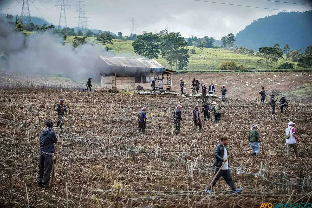 Petani Teh Bakar Gubug dan Rusak Lahan Pertanian Ilegal di Kertamanah Kabupaten Bandung. (Sumber: ayobandung.id | Foto: Kavin Faza)