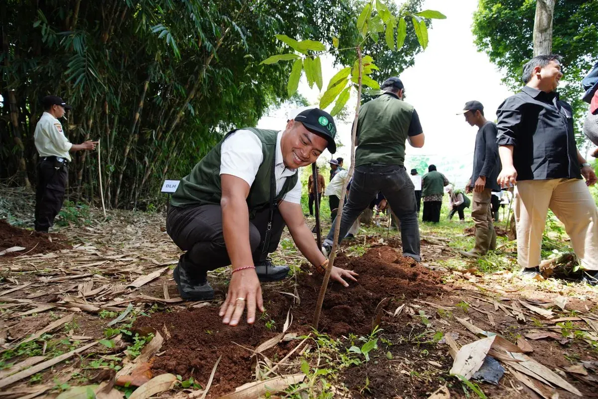 Menanam pohon bukan hanya simbol, melainkan investasi untuk generasi mendatang. Pohon yang tumbuh akan menjadi pelindung dari bencana, penyerap karbon, dan peneduh bagi anak cucu kita. (Sumber: Ist)