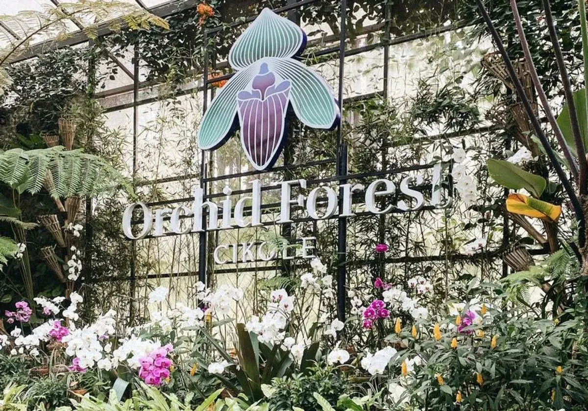 Contoh nyata praktik edutourism adalah Orchid Forest Cikole. Tidak hanya menawarkan keindahan lanskap, tetapi juga jadi ruang belajar tentang pentingnya pelestarian hutan dan tanaman anggrek. (Sumber: dok Orchid Forest Cikole)