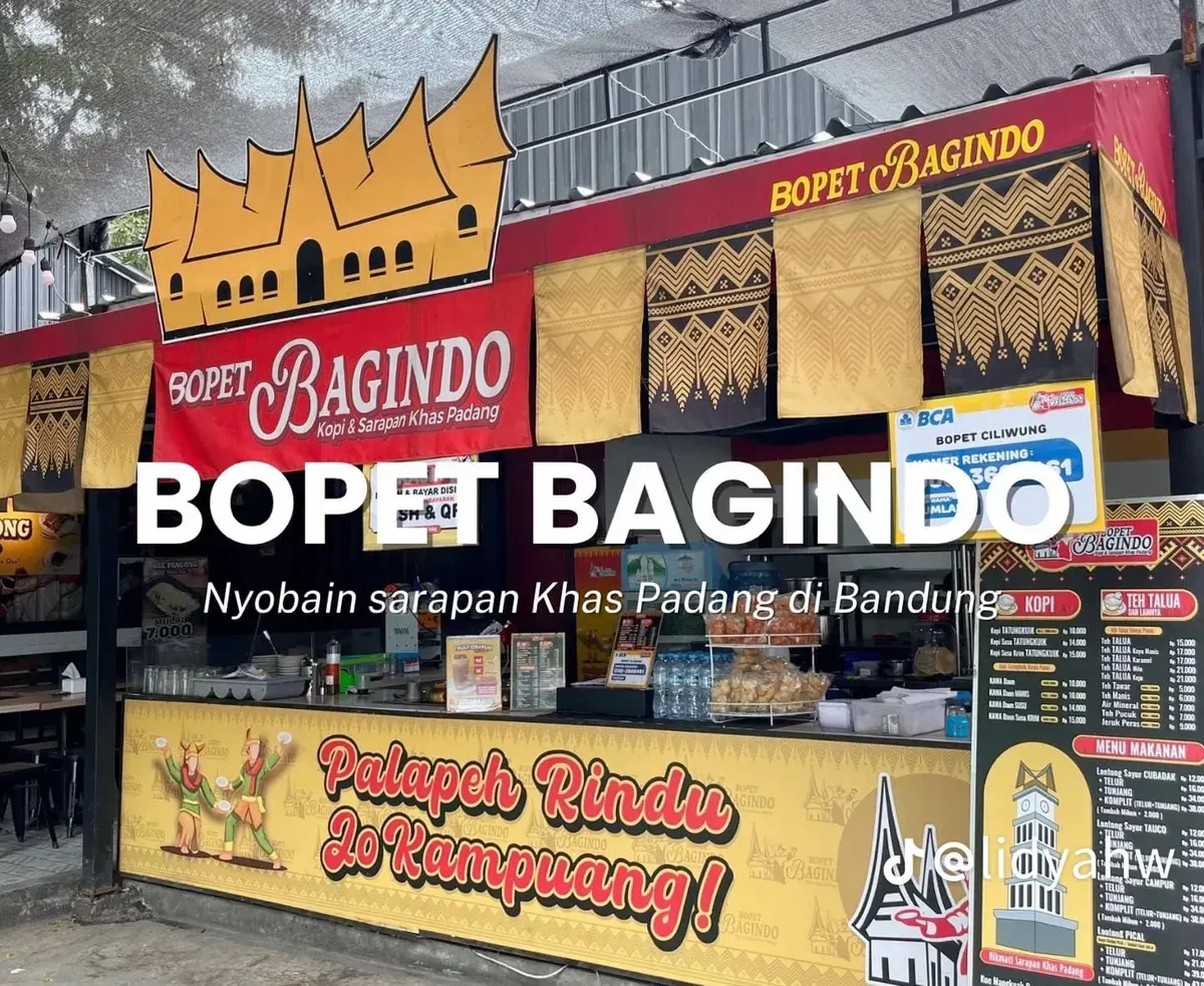 (Sumber: Akun Tiktok @lidyahw)