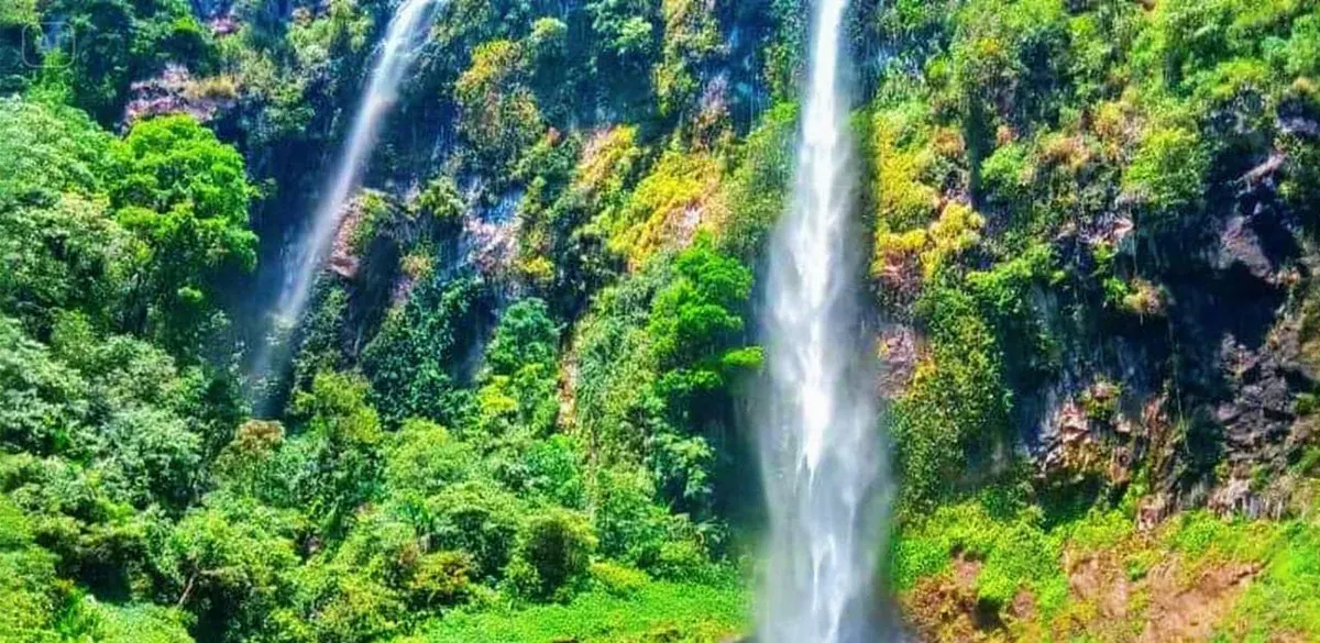 Keindahan Curug Cileat di Kabupaten Subang memukau dengan aliran air tinggi dan dikelilingi hijaunya pepohonan. (Sumber: Dokumentasi pribadi | Foto: Jajang Shofar Khoerudin)