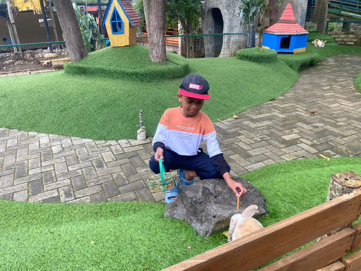 Seoarang anak memberi makan kelinci di area petting zoo Farmhouse Lembang (Sabtu 8/11/25). (Sumber: Fauzi Ananta)