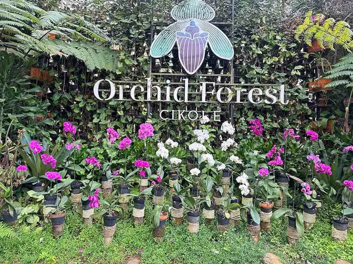 Deretan anggrek berwarna-warni menyambut pengunjung di pintu masuk kawasan wisata alam Desa Cikole, Lembang, Kabupaten Bandung Barat, Minggu (26/10/2025). (Sumber: Nabila Putri Wiritanaya)