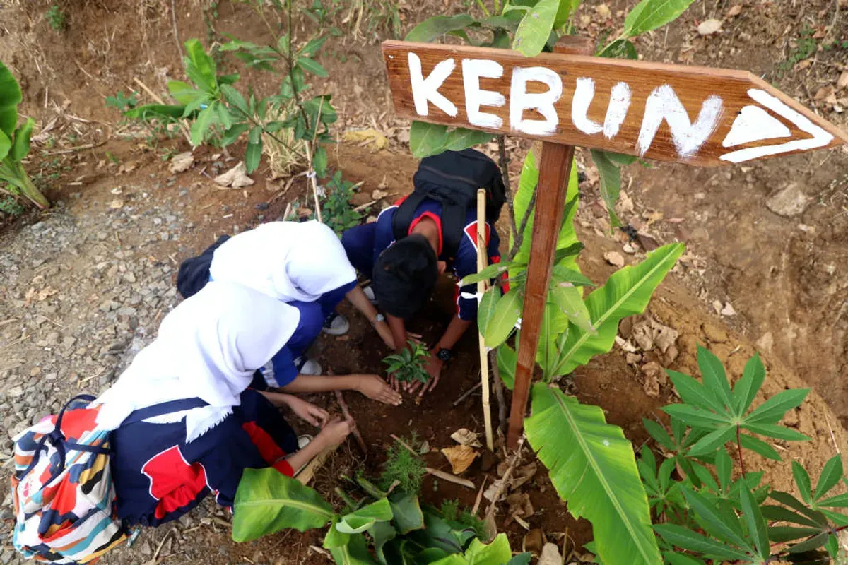 Vegetasi bernilai ekologis sekaligus ekonomis dapat menjadi sumber pendapatan baru melalui hasil hutan bukan kayu, ekowisata, dan jasa lingkungan. (Sumber: Ayobandung.id | Foto: Kavin Faza)