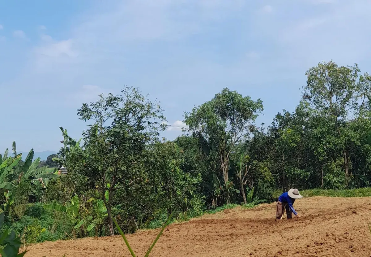 Petani di Kebun (Sumber: Dokumentasi Pribadi | Foto: Arfi Pandu Dinata)